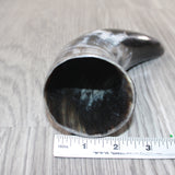 1 Small Polished Cow Horn #2062 Natural Colored