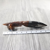 Orthoceras Fossil Handle Stone Blade Ornamental Knife #2254    Mountain Man Knife