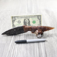 Orthoceras Fossil Handle Stone Blade Ornamental Knife #2254    Mountain Man Knife