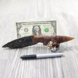 Orthoceras Fossil Handle Stone Blade Ornamental Knife #2254    Mountain Man Knife