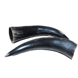 2 Polished Cow Horns #8062    Natural colored