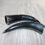 2 Polished Cow Horns #8062    Natural colored
