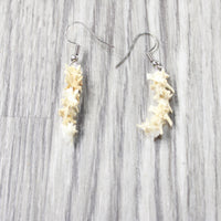 Rattlesnake Vertebrae  Earrings  #6154  Mountain Man Earrings