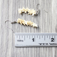 Rattlesnake Vertebrae  Earrings  #6154  Mountain Man Earrings