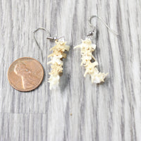 Rattlesnake Vertebrae  Earrings  #6154  Mountain Man Earrings