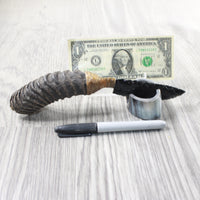 Springbok Horn Handle Obsidian Blade Ornamental Knife #1454  Mountain Man Knife