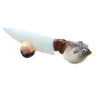 Parrot Puffer Fish Handle Opalite Blade Ornamental Knife #6454    Mountain Man Knife