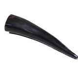 1 Small Polished Cow Horn #1362 Natural Colored