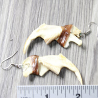 Muskrat Jaw Earrings  #6654  Mountain Man Earrings