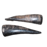 2 Small Polished Goat Horns #0462      Natural Colored