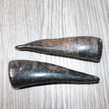 2 Small Polished Goat Horns #0462      Natural Colored