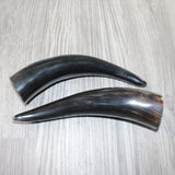 2 Small Polished Cow Horns #0462    Natural colored