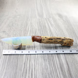 Cholla Cactus Wood Handle Opalite Blade Ornamental Knife #8654    Mountain Man Knife