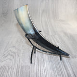 1 Polished Cow Horn With Stand #2562    Natural Colored