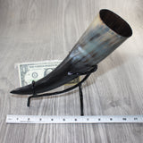 1 Polished Cow Horn With Stand #2562    Natural Colored
