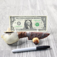 Parrot Puffer Fish Handle Stone Blade Ornamental Knife #2854    Mountain Man Knife