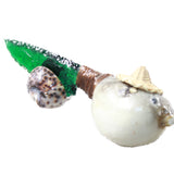 Parrot Puffer Fish Handle Glass Blade Ornamental Knife #24554    Mountain Man Knife