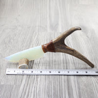 Deer Antler Handle Opalite Blade Ornamental Knife #8154    Mountain Man Knife