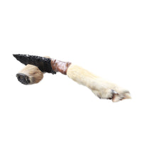 Coyote Foot Handle Obsidian Blade Ornamental Knife #1254  Mountain Man Knife