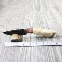 Coyote Foot Handle Obsidian Blade Ornamental Knife #1254  Mountain Man Knife