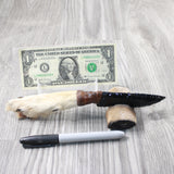 Coyote Foot Handle Obsidian Blade Ornamental Knife #1254  Mountain Man Knife