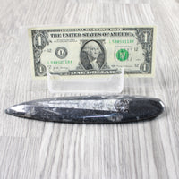 1 Large Orthoceras Fossil  #1254