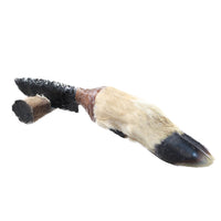 Deer Foot Handle Obsidian Blade Ornamental Knife #9254  Mountain Man Knife