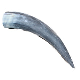 1 Raw Unfinished Cow Horn # 2763  Natural Colored