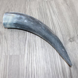 1 Raw Unfinished Cow Horn # 2763  Natural Colored
