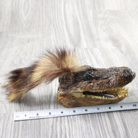 Alligator Head with Raccoon Tail Mohawk  #4454