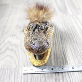 Alligator Head with Raccoon Tail Mohawk  #4454