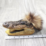 Alligator Head with Raccoon Tail Mohawk  #4454