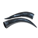 2 Polished Cow Horns #7963    Natural colored