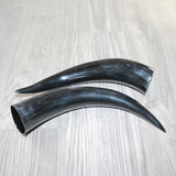 2 Polished Cow Horns #7963    Natural colored