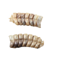 2 Rattlesnake Rattles  #2654    Taxidermy Diamondback Sidewinder
