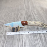 Cholla Cactus Wood Handle Opalite Blade Ornamental Knife #8163     Mountain Man Knife