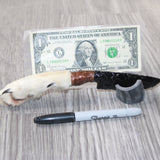 Coyote Foot Handle Obsidian Blade Ornamental Knife #9263  Mountain Man Knife