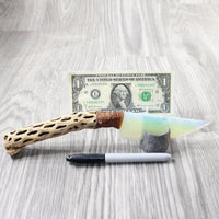 Cholla Cactus Wood Handle Opalite Blade Ornamental Knife #0954    Mountain Man Knife