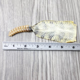 Rattlesnake Rattle With Skin Attached  #1954       Taxidermy Diamondback Sidewinder