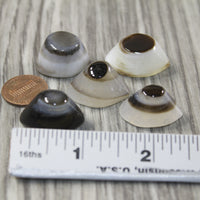 5 Agate Eyes   #9643 Naturally Formed