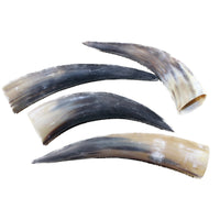 4 Raw Unfinished Cow Horns #4943 Natural Colored