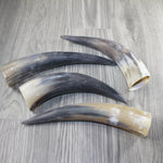 4 Raw Unfinished Cow Horns #4943 Natural Colored