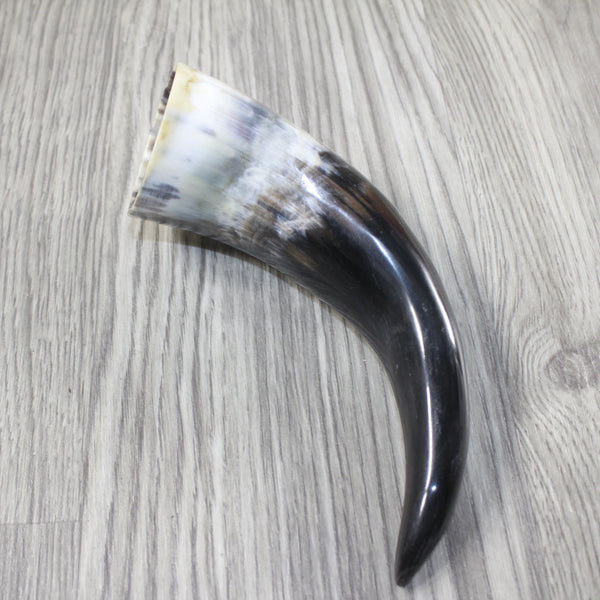 1 Polished Cow Horn #2743 Natural Colored