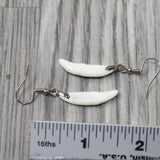 Coyote Fang Teeth Earrings  #4943  Mountain Man Earrings