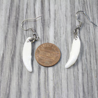 Coyote Fang Teeth Earrings  #4943  Mountain Man Earrings