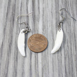 Coyote Fang Teeth Earrings  #4943  Mountain Man Earrings