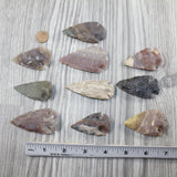 10 Large Stone Ornamental Arrowheads  #1543  Arrowhead