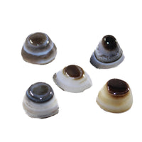 5 Agate Eyes   #6843 Naturally Formed