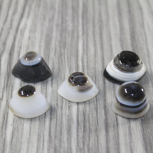 5 Agate Eyes   #8943 Naturally Formed