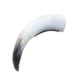 1 Raw Unfinished Cow Horn #3444 Natural Colored